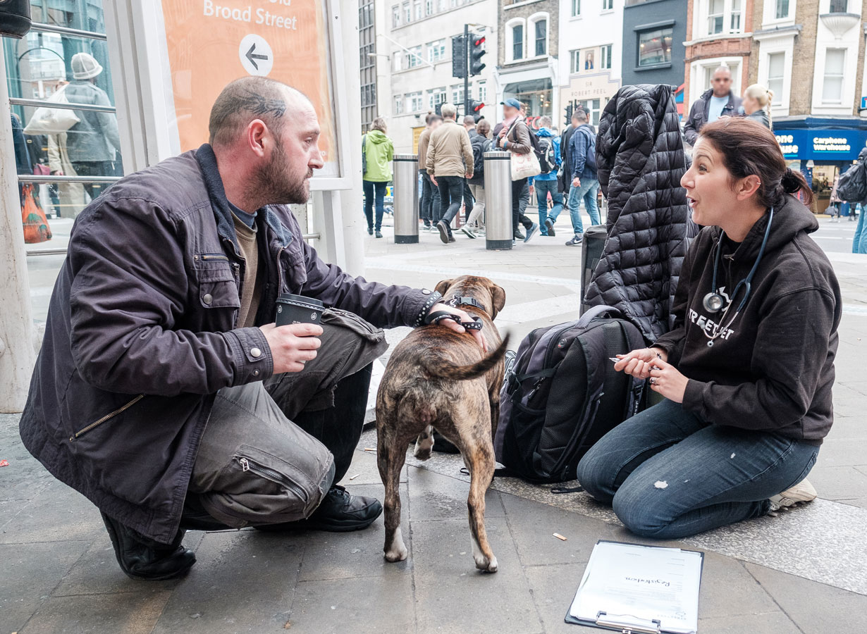 Street Vet treating Sky