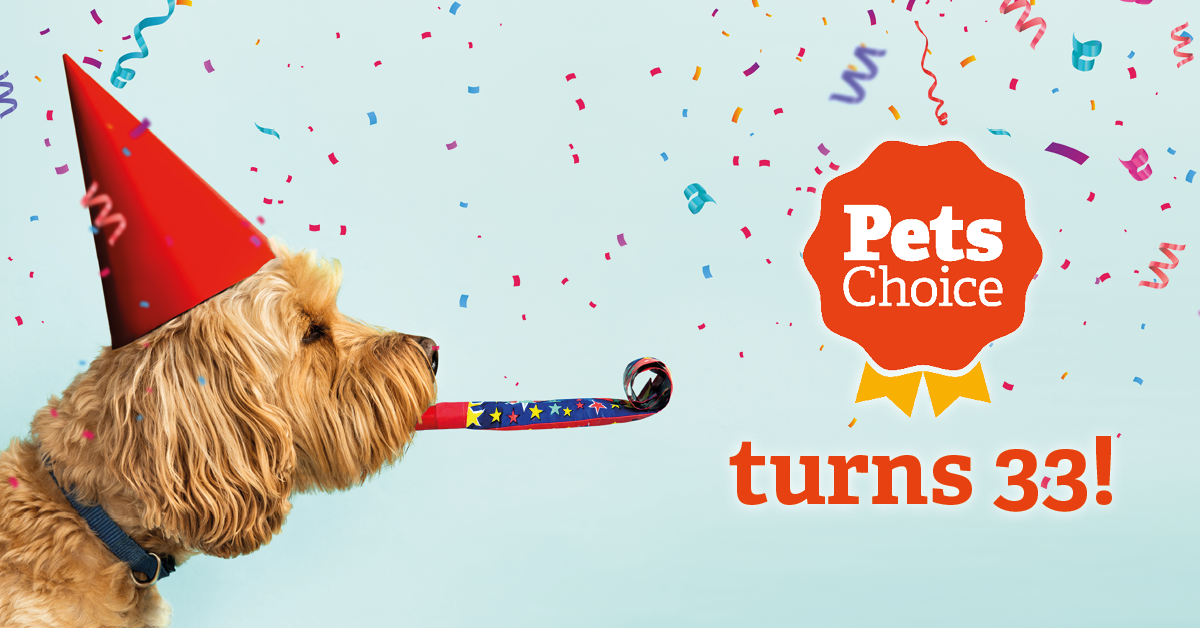 pets choice birthday