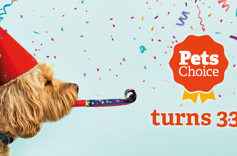 pets choice birthday